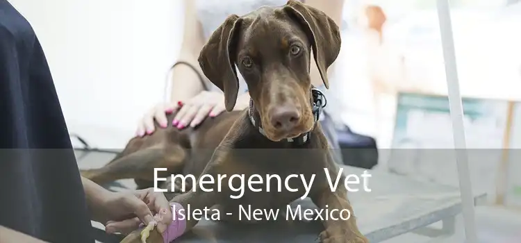Emergency Vet Isleta - New Mexico