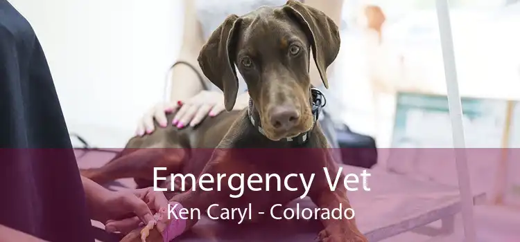 Emergency Vet Ken Caryl - Colorado