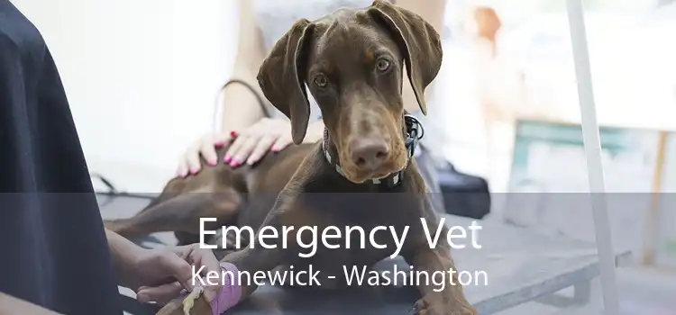 Emergency Vet Kennewick - Washington