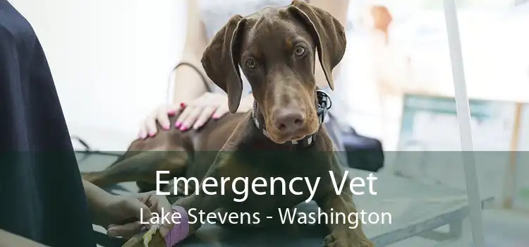 Emergency Vet Lake Stevens - Washington