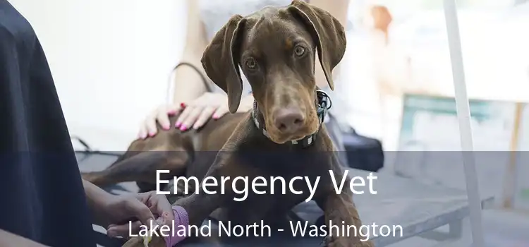 Emergency Vet Lakeland North - Washington