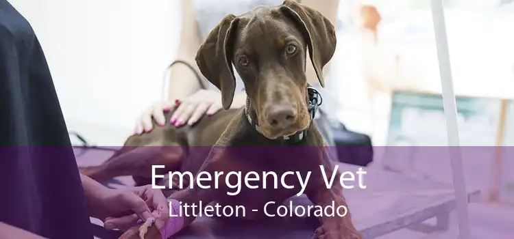 Emergency Vet Littleton - Colorado