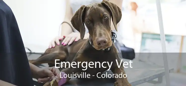 Emergency Vet Louisville - Colorado