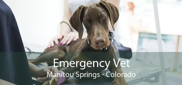 Emergency Vet Manitou Springs - Colorado