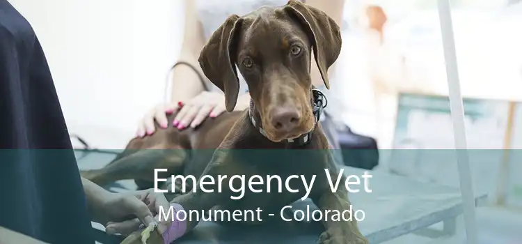 Emergency Vet Monument - Colorado