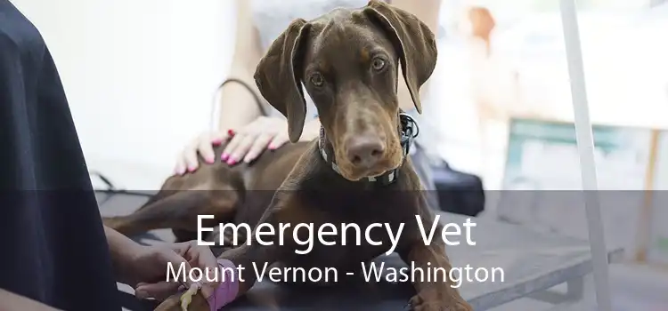 Emergency Vet Mount Vernon - Washington
