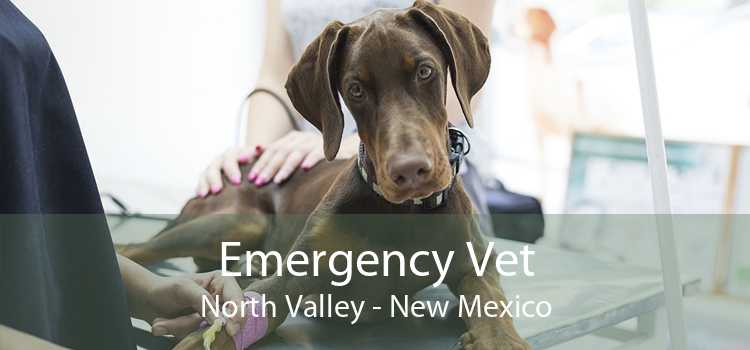 Emergency Vet North Valley - New Mexico