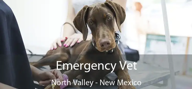 Emergency Vet North Valley - New Mexico