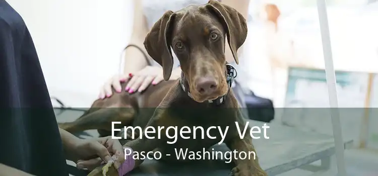 Emergency Vet Pasco - Washington