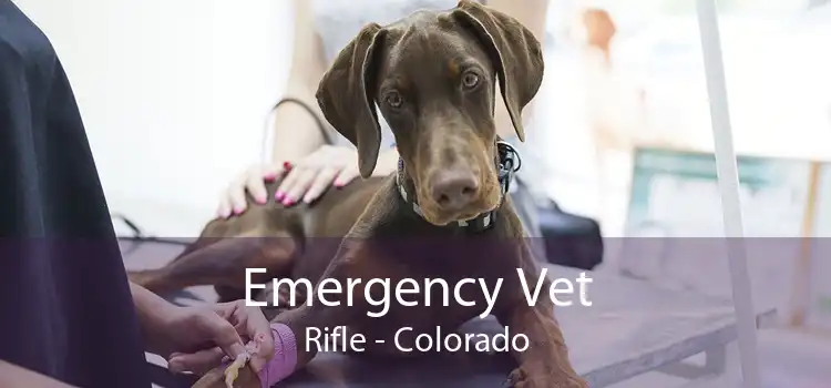 Emergency Vet Rifle - Colorado