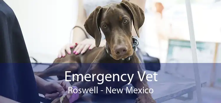 Emergency Vet Roswell - New Mexico