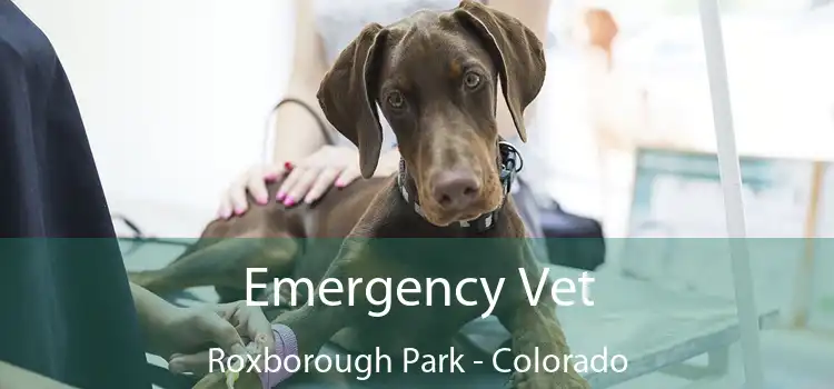 Emergency Vet Roxborough Park - Colorado