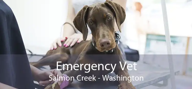Emergency Vet Salmon Creek - Washington