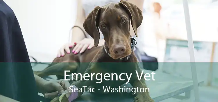 Emergency Vet SeaTac - Washington