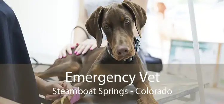 Emergency Vet Steamboat Springs - Colorado