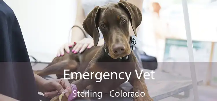 Emergency Vet Sterling - Colorado