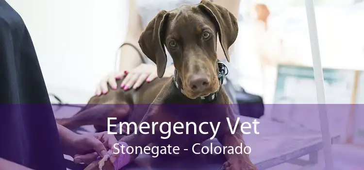 Emergency Vet Stonegate - Colorado
