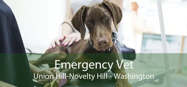 Emergency Vet Union Hill-Novelty Hill - Washington