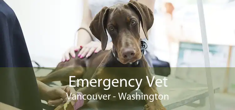 Emergency Vet Vancouver - Washington
