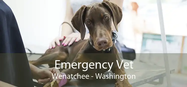 Emergency Vet Wenatchee - Washington