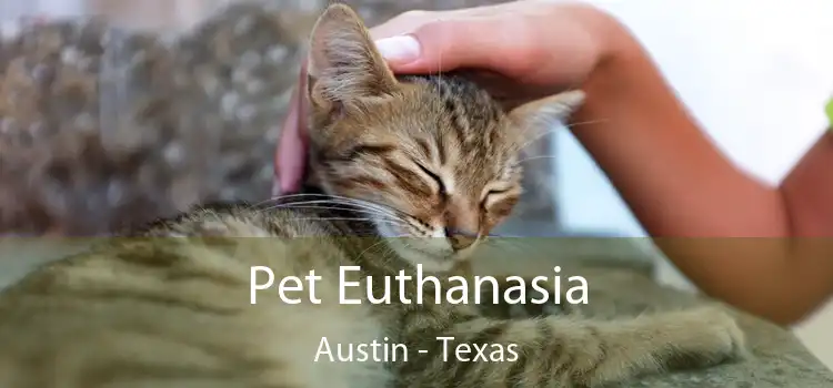 Pet Euthanasia Austin - Texas