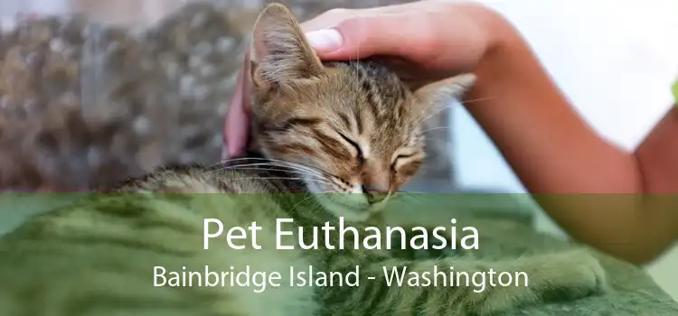 Pet Euthanasia Bainbridge Island - Washington