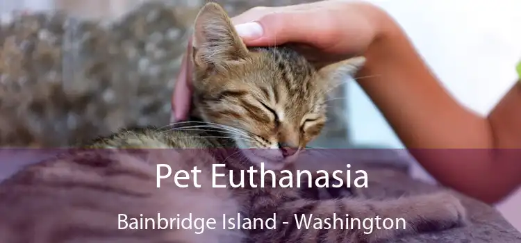 Pet Euthanasia Bainbridge Island - Washington