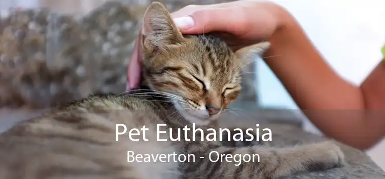 Pet Euthanasia Beaverton - Oregon