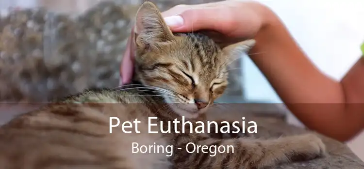 Pet Euthanasia Boring - Oregon