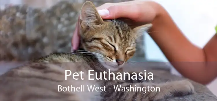Pet Euthanasia Bothell West - Washington
