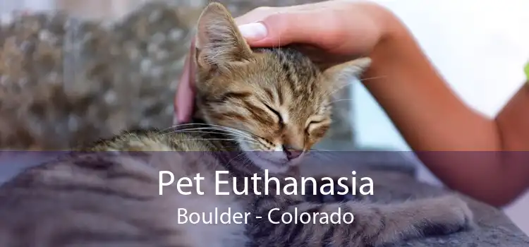 Pet Euthanasia Boulder - Colorado