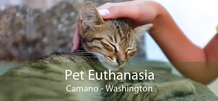 Pet Euthanasia Camano - Washington