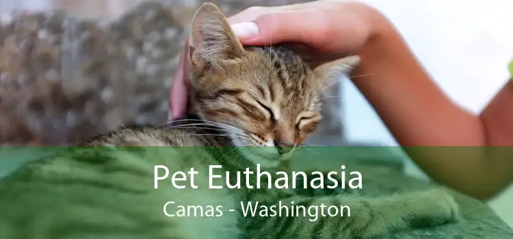 Pet Euthanasia Camas - Washington
