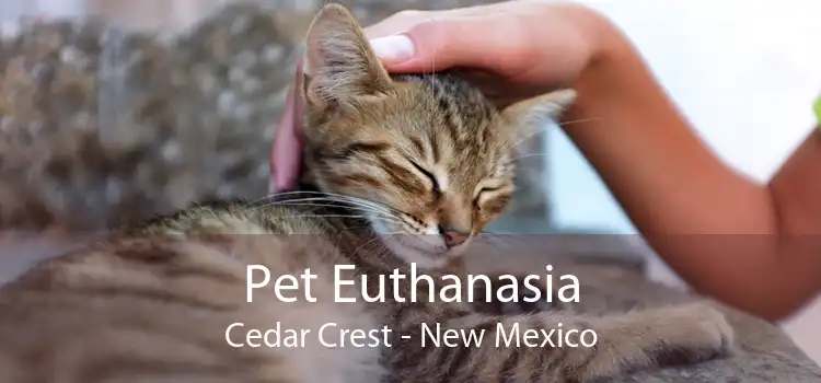 Pet Euthanasia Cedar Crest - New Mexico