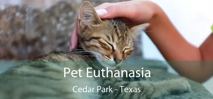Pet Euthanasia Cedar Park - Texas