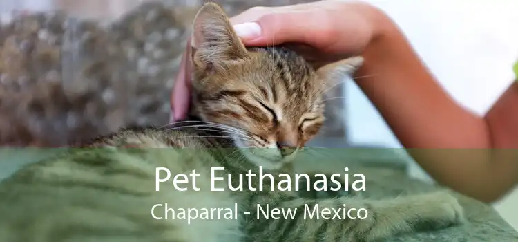 Pet Euthanasia Chaparral - New Mexico