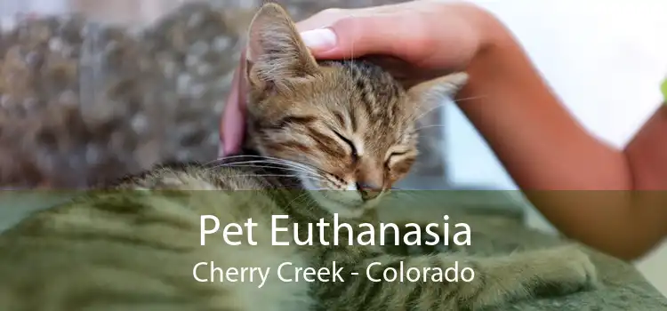 Pet Euthanasia Cherry Creek - Colorado