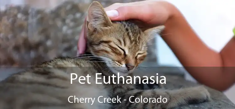 Pet Euthanasia Cherry Creek - Colorado