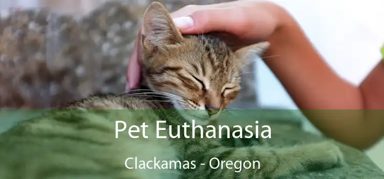 Pet Euthanasia Clackamas - Oregon