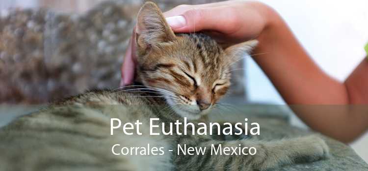 Pet Euthanasia Corrales - New Mexico