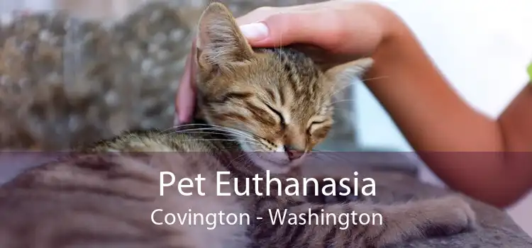 Pet Euthanasia Covington - Washington