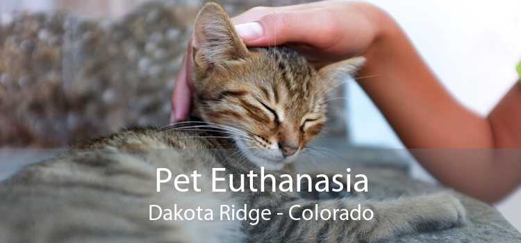 Pet Euthanasia Dakota Ridge - Colorado