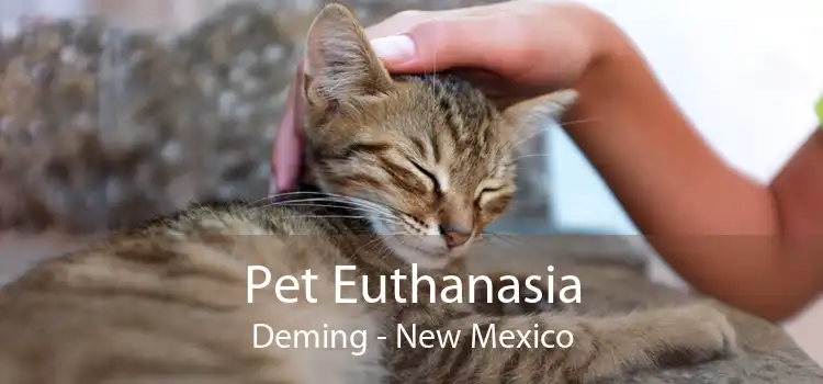 Pet Euthanasia Deming - New Mexico