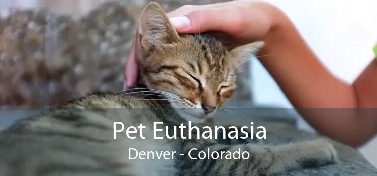 Pet Euthanasia Denver - Colorado