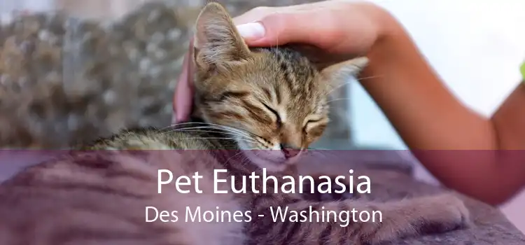 Pet Euthanasia Des Moines - Washington