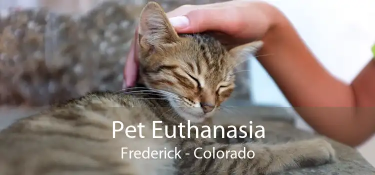 Pet Euthanasia Frederick - Colorado