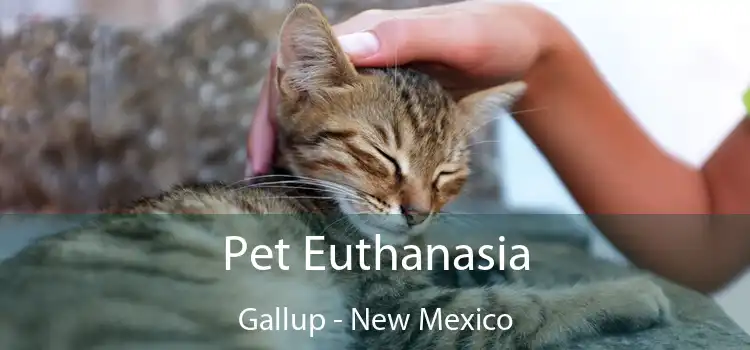 Pet Euthanasia Gallup - New Mexico