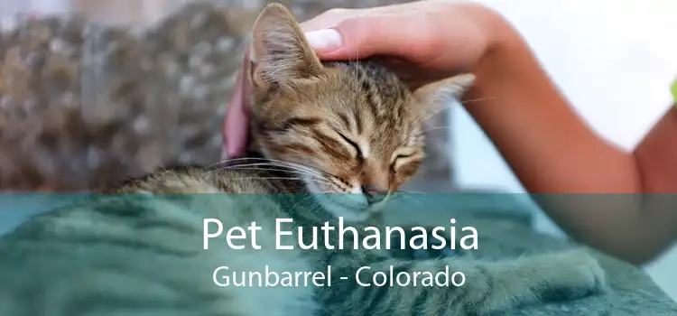 Pet Euthanasia Gunbarrel - Colorado