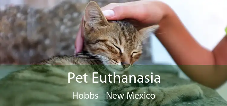 Pet Euthanasia Hobbs - New Mexico