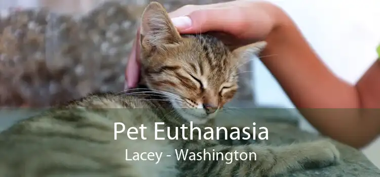 Pet Euthanasia Lacey - Washington